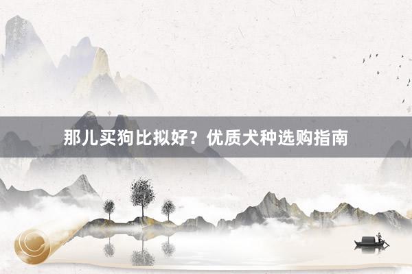 那儿买狗比拟好？优质犬种选购指南